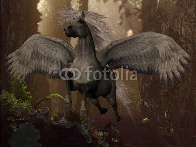 Catmando, Flying Pegasus (Wunschgröße, Fotokunst, weißer Pegasus, Fabelwesen, geflügeltes Pferd, Flügel, Schwingen, fliegender pegasus, Wald, Bäume, Mythologie, Sagenwelt, Zauber, Magie, Fantasie, Mythos, Märchen, Jugendzimmer, Schlafzimmer, Wohnzimmer, schwarz / weiß)