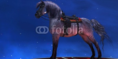 Catmando, Kiger Silver Horse (Wunschgröße, Fotokunst, braunes Pferd, Reitpferd, Sattel,  Weltall, Universum, Himmel, Leuchten, Zauber, Magie, Fantasie, Mythos, Märchen, Jugendzimmer, Schlafzimmer, Wohnzimmer, bunt)