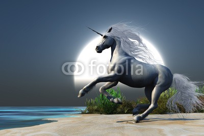 Catmando, Midnight Unicorn (Wunschgröße, Fotokunst, weißes Einhorn, Pferd, Meer, Strand, Himmel, Mond, Vollmond, Nachstszene, Landschaft, Leuchten, Aufbäumen, Zauber, Magie, Fantasie, Mythos, Märchen, Jugendzimmer, Schlafzimmer, Wohnzimmer, bunt)