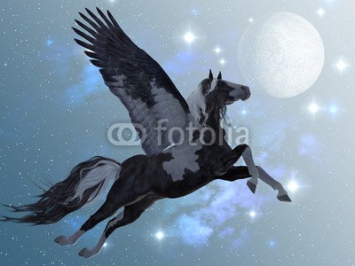 Catmando, Pegasus 03 (Wunschgröße, Fotokunst,schwarz-weißer Pegasus, Fabelwesen, geflügeltes Pferd, Flügel, Schwingen, fliegender Pegasus, Weltall, Universum, Sterne, Mythologie, Sagenwelt, Zauber, Magie, Fantasie, Mythos, Märchen, Jugendzimmer, Schlafzimmer, Wohnzimmer, bunt)