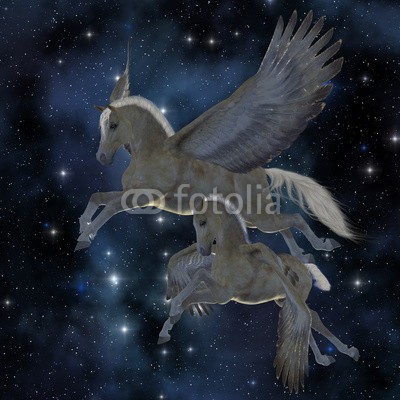 Catmando, Pegasus 04 (Wunschgröße, Fotokunst, weißer Pegasus, Fohlen, Fabelwesen, geflügeltes Pferd, Flügel, Schwingen, fliegender Pegasus, Weltall, Universum, Sterne, Mythologie, Sagenwelt, Zauber, Magie, Fantasie, Mythos, Märchen, Jugendzimmer, Schlafzimmer, Wohnzimmer, bunt)