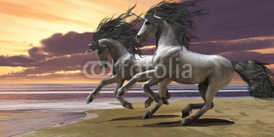 Catmando, Playing Unicorns Part 1 (Wunschgröße, Fotokunst, spielende Einhörner, weißes Einhorn, Pferd, Meer, Strand, Himmel, Landschaft, Sonne, Leuchten, Zauber, Magie, Fantasie, Mythos, Märchen, Jugendzimmer, Schlafzimmer, Wohnzimmer, bunt)