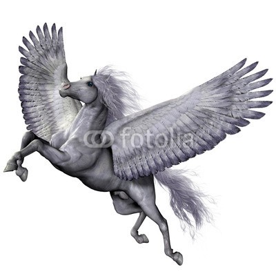 Catmando, Silver Winged Pegasus (Wunschgröße, Fotokunst, Pegasus, Fabelwesen, geflügeltes Pferd, Flügel, Schwingen, Mythologie, Sagenwelt, Zauber, Magie, Fantasie, Mythos, Märchen, Jugendzimmer, Schlafzimmer, Wohnzimmer, silber / weiß)