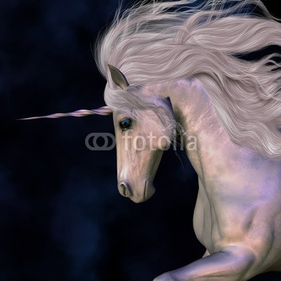 Catmando, Stallion (Wunschgröße, Fotokunst, weißes Einhorn, Pferd, Hengst, Kraft, Energie, Zauber, Magie, Fantasie, Mythos, Märchen, Jugendzimmer, Schlafzimmer, Wohnzimmer, weiß/dunkelblau)