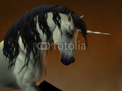 Catmando, Unicorn 02 (Wunschgröße, Fotokunst, weißes Einhorn, schwarze Mähne, Pferd,Kraft, Energie, Zauber, Magie, Fantasie, Mythos, Märchen, Jugendzimmer, Schlafzimmer, Wohnzimmer, bunt)