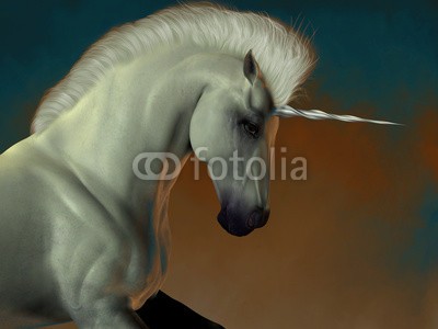 Catmando, Unicorn 03 (Wunschgröße, Fotokunst, weißes Einhorn, Pferd, Kraft, Muskeln, Zauber, Magie, Fantasie, Mythos, Märchen, Jugendzimmer, Schlafzimmer, Wohnzimmer, bunt)