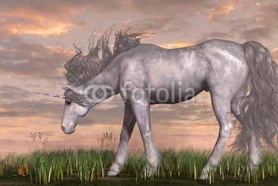 Catmando, Unicorn and Chipmunk (Wunschgröße, Fotokunst, weißes Einhorn,Streifenhörncen, Pferd, Wolken, Himmel, Landschaft, Sonne, Leuchten, Neugierde, Zauber, Magie, Fantasie, Mythos, Märchen, Jugendzimmer, Schlafzimmer, Wohnzimmer, bunt)