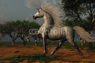 Catmando, UNICORN FOREST (Wunschgröße, Fotokunst, weißes Einhorn, Pferd, dunkler Himmel, Wald, Landschaft, Wolken, Stolz, Zauber, Magie, Fantasie, Mythos, Märchen, Jugendzimmer, Schlafzimmer, Wohnzimmer, bunt)