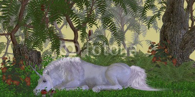 Catmando, Unicorn Knoll (Wunschgröße, Fotokunst, weißes Einhorn, Pferd, Schlaf, Ruhe, Wald, Melancholie, Magie, Fantasie, Mythos, Märchen, Jugendzimmer, Schlafzimmer, bunt)