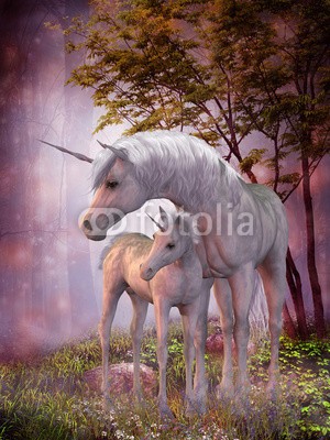 Catmando, Unicorn Mare and Foal (Wunschgröße, Fotokunst, weißes Einhorn, Fohlen, Pferd, Meer, Wald, Zauberwald, Landschaft, Funkeln, Leuchten, Zauber, Magie, Fantasie, Mythos, Märchen, Schutz, Traumwelt, Jugendzimmer, Schlafzimmer, Wohnzimmer, bunt)