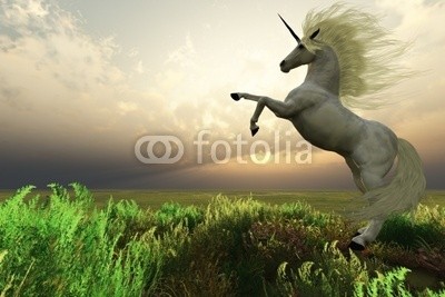 Catmando, UNICORN STAG (Wunschgröße, Fotokunst, weißes Einhorn, Pferd, Wolken, Unwetter, Aufbäumen, Himmel, Landschaft, Leuchten, Zauber, Magie, Fantasie, Mythos, Märchen, Jugendzimmer, Schlafzimmer, Wohnzimmer, bunt)