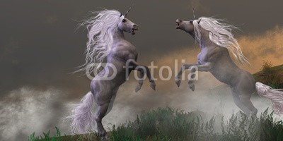 Catmando, Unicorn Stallions Fighting (Wunschgröße, Fotokunst, kämpfende Einhörner, Hengste, weißes Einhorn, Pferd, Drama, Himmel, Landschaft, Zauber, Magie, Fantasie, Mythos, Märchen, Jugendzimmer, Schlafzimmer, Wohnzimmer, bunt)