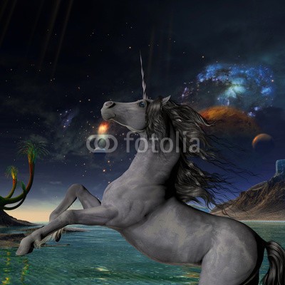 Catmando, Unicorn Universe (Wunschgröße, Fotokunst, graues Einhorn, Pferd, Universum, Weltall, Meer, Traumwelt, Magie, Fantasie, Mythos, Märchen, Jugendzimmer, Schlafzimmer, bunt)