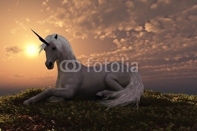 Catmando, UNICORN (Wunschgröße, Fotokunst, weißes Einhorn, Pferd, Wolken, Sonnenuntergang, Himmel, Landschaft, Leuchten,Abendruhe, Ausruhen, Zauber, Magie, Fantasie, Mythos, Märchen, Jugendzimmer, Schlafzimmer, Wohnzimmer, bunt)