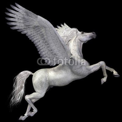 Catmando, White Pegasus Profile (Wunschgröße, Fotokunst, Pegasus, Fabelwesen, geflügeltes Pferd, Flügel, Schwingen, Mythologie, Sagenwelt, Zauber, Magie, Fantasie, Mythos, Märchen, Jugendzimmer, Schlafzimmer, Wohnzimmer, schwarz / weiß)