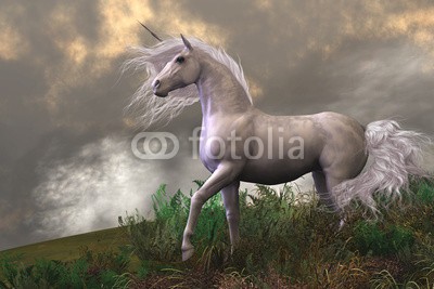 Catmando, White Unicorn Stallion (Wunschgröße, Fotokunst, weißes Einhorn, Pferd, Hengst, Himmel, Hügel, Wiese, Landschaft, Wolken, Leuchten, Zauber, Magie, Fantasie, Mythos, Märchen, Jugendzimmer, Schlafzimmer, Wohnzimmer, bunt)