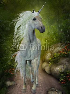 Catmando, White Unicorn (Wunschgröße, Fotokunst, weißes Einhorn, Pferd, Wald, Waldweg, Zauberwald, Magie, Fantasie, Mythos, Märchen, Jugendzimmer, Schlafzimmer, bunt)