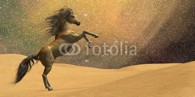 Catmando, Wilderness Horse (Wunschgröße, Fotokunst, braunes Pferd, Wüste, Sandsturm, Unwetter,  Aufbäumen, Landschaft, Leuchten, Zauber, Magie, Fantasie, Mythos, Märchen, Jugendzimmer, Schlafzimmer, Wohnzimmer, bunt)