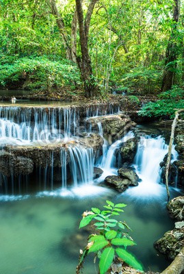 calcassa, Waterfall in Deep forest at Huay Mae Ka Min National Park (Thailand, Erawan, Nationalpark, Wasserfall, Kaskaden,  erfrischend, Urwald, Natur, Landschaft, Urlaub, Wellness, Badezimmer, Treppenhaus, Fotografie, Wunschgröße,  bunt)