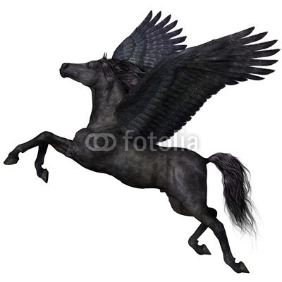 Catmando, Black Pegasus Profile (Wunschgröße, Fotokunst, Pegasus, Fabelwesen, geflügeltes Pferd, Flügel, Schwingen, Mythologie, Sagenwelt, Zauber, Magie, Fantasie, Mythos, Märchen, Jugendzimmer, Schlafzimmer, Wohnzimmer, schwarz / weiß)