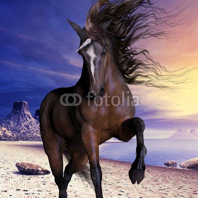 Catmando, Mahogony Bay Unicorn (Wunschgröße, Fotokunst, braunes Einhorn, Pferd, Meer, Strand, Himmel, Felsen, Landschaft, Sonne, Leuchten, Zauber, Magie, Fantasie, Mythos, Märchen, Jugendzimmer, Schlafzimmer, Wohnzimmer, bunt)