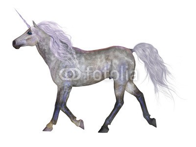 Catmando, Unicorn on White (Wunschgröße, Fotokunst, weißes Einhorn, Pferd, Studie, Seitenansicht, Zauber, Magie, Fantasie, Mythos, Märchen, Jugendzimmer, Schlafzimmer, Wohnzimmer, weiß / grau)