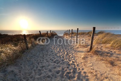 catolla, path on sand to North sea beach (pfad, way, straßen, zaun, sand, küste, strand, meer, ozean, nordsee, sonne, sunlight, sonnenschein, sonnenuntergänge, sonnenuntergänge, sonnenuntergänge, blau, himmel, klar, anblick, holland, zandvoort, holland, holländisch, szenerie, landschaftlic)