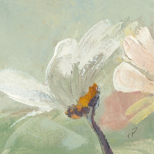 Chantal Parise, Pquerette II (Wunschgröße, Malerei, Natur, Floral, Blumen, Blüte, Blütenblätter, Frühling, Schlafzimmer, Arztpraxis, Wohnzimmer, Wintergarten, Treppenhaus, pastell)