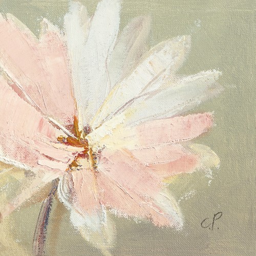 Chantal Parise, Pquerette III (Wunschgröße, Malerei, Natur, Floral, Blumen, Blüte, Blütenblätter, Frühling, Schlafzimmer, Arztpraxis, Wohnzimmer, Wintergarten, Treppenhaus, pastell)