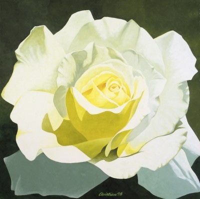 Christian, Little Snow White (White Rose) (Blumen, Blüten, Sommer, Rosenblüte, leuchtend weiß, Botanik, modern, Malerei, zeitgenössisch, Wohnzimmer, Treppenhaus,)