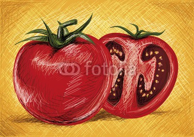 christophkadur82, Tomato Cut (tomaten, rot, gemüse, küche, kochen, zeichnung, frische, vegetarisch, ernten, saftiges, essen, mahlzeit, salate, zutaten, realistisch, vektor, schnit)