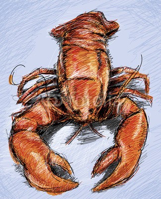 christophkadur82, Red Lobster (crustacean, hummer, fisch, zeichnung, zeichnung, biest, kritzeleien, frisch, hauptgericht, stutzen, klipper, kochen, gekocht, luxus, rot, orang)