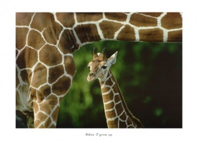Cioli, When I grow up (Tiere, Giraffen,Fotokunst,Flur,Wohnzimmer)