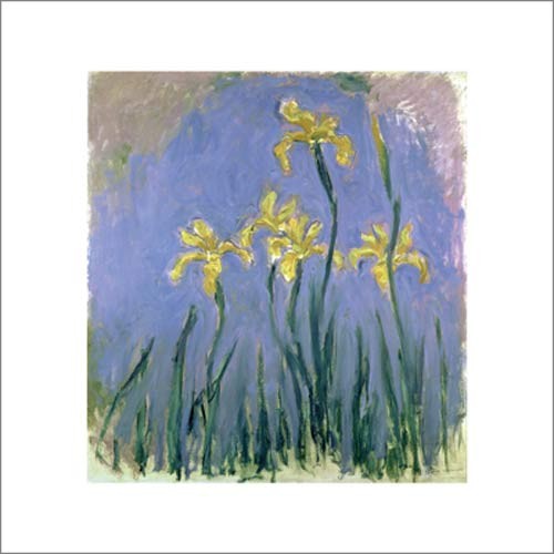 Claude Monet, Les Iris Jaunes (Impressionismus, Malerei, Blumen, Lilien, Iris, Natur, Schlafzimmer, Wohnzimmer, Wintergarten, Treppenhaus, bunt, Klassiker)
