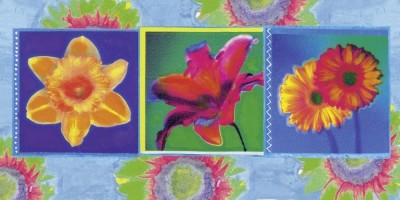 Comi Disegni, Mai Thai (Blumen, Blüten, Reihe, Modern, Pop Art, Grafik, Plakatkunst, Wohnzimmer, Treppenhaus,)