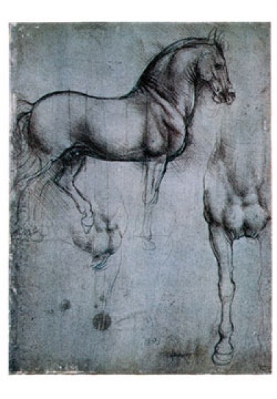 Leonardo da Vinci, Studio di cavalli (Klassiker, Renaissance, Zeichnung, Studie,  Pferd, Pferdebrust, Muskulatur, Proportionen,  Wohnzimmer, Treppenhaus, schwarz / weiß)