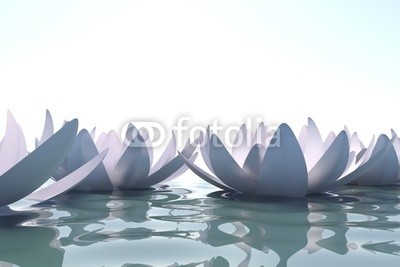 dampoint, Zen loto flowers in water (Wunschgröße, Fotografie, Photografie, Wasser,  Blüte, Lotus, sich treiben lassen, Yoga, Licht, Reflexion, Spiegelungen,  Zen, Buddhismus, Entspannung, Meditation, Ruhe, Stille, Wellness, Badezimmer, Schlafzimmer, weiß / grau)