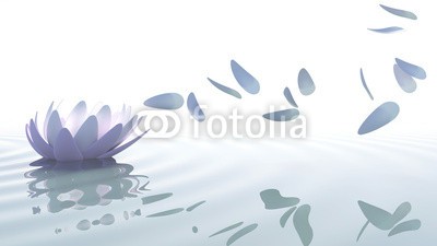 dampoint, Zen lotus with petals moved by wind (Wunschgröße, Fotografie, Photografie, Wasser, Blüte, Blütenblätter, Lotus, Yoga, Wind, Spiegelungen, Reflexion, Zen, Buddhismus, Entspannung, Meditation, Ruhe, Stille, Wellness, Badezimmer, Schlafzimmer, grau / weiß)