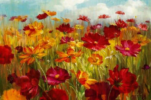 Danhui Nai, Cosmos in the Field (Wunschgröße, Malerei, Blumen, Blumenfeld, Blüten, fröhlich, Wohnzimmer, Esszimmer, Wintergarten, bunt)