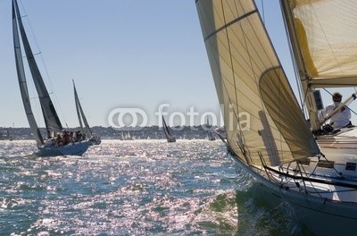 Darren Baker, Racing In The Evening Sun (yacht, boot, schiff, sailing, beruhigt, beschaulichkeit, abend, sonne, sonnenschein, wettrennen, rennsport, kräfte, wettbewerb, warm, sommer, hot, crew, gespann, zusammenarbeit, spaß, spaß, freude, segel, spinnaker, rosa, himmel, blau, wind, windig, mee)