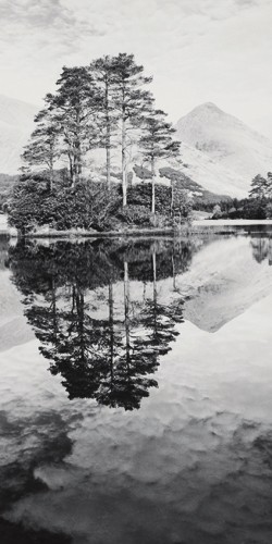 Dave Butcher, Lochan Urr, Glen Etive, Scotland (Wunschgröße, Fotokunst, Landschaftsfotografie, Schottland, Klarheit, Einsamkeit, See, Bäume, Hügel, Spiegelungen, Büro,Wohnzimmer, Treppenhaus, schwarz/weiß)