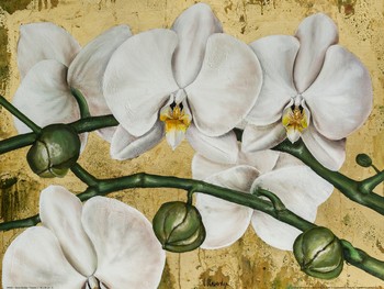 David Sedalia, FLOWERS I (Blumen, Blüten, Orchideen, Knospen, Malerei, Wohnzimmer, Esszimmer, Treppenhaus, bunt)