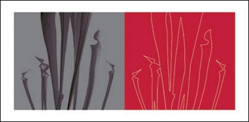 Davide POLLA, Tiges, 2006 (Blätter, Konturen, Diptychon, plakativ, modern, Treppenhaus, Wohnzimmer, Grafik, grau/rot)