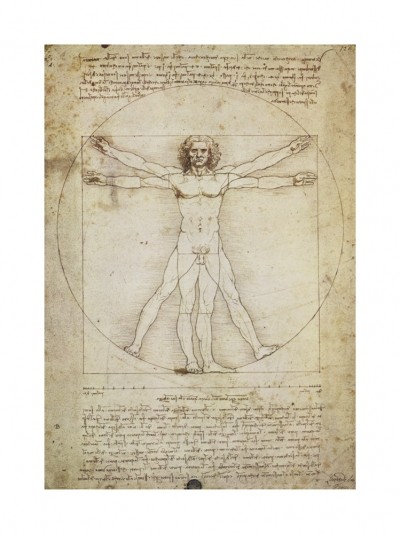 Leonardo da Vinci, Schema Delle Proporzioni (Klassiker, Renaissance, Studie,  vitruvianische Mensch, Proportionen, Anatomie, Federzeichnung, Zeichnung, Büro, Wohnzimmer, Treppenhaus, Arztpraxis, braun / weiß)