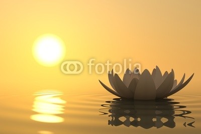 dampoint, Zen flower lotus on sunset (Wunschgröße, Fotografie, Photografie, Wasser, Meer, Blüte, Lotus, Yoga, Sonnenuntergang, Zen, Buddhismus, Entspannung, Meditation, Ruhe, Stille, Wellness, Badezimmer, Schlafzimmer, bunt)