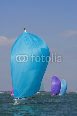 Darren Baker, colors at sea too (yacht, yacht, boot, segel, sailing, segel, spinnaker, wettrennen, rennsport, wettbewerb, vielfarbig, wind, windig, dingi, dingi, vielfarbig, verfärbt, farb, regenbogen, hell, blau, rot, rosa, lila, mauve, gewinner, gewinnend, siegespreis, konkurrenzfähi)