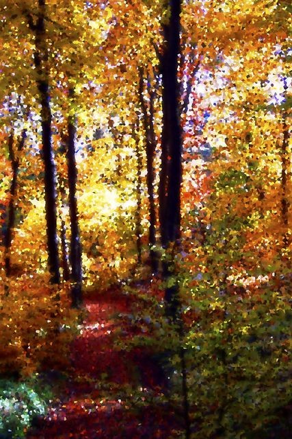 Dieter Quant, DQV03 (Wald, Natur, Bäume, Herbst, Fotokunst, verzerrt, unscharf, modern, Wohnzimmer, Treppenhaus, Büro, Wunschgröße, bunt)