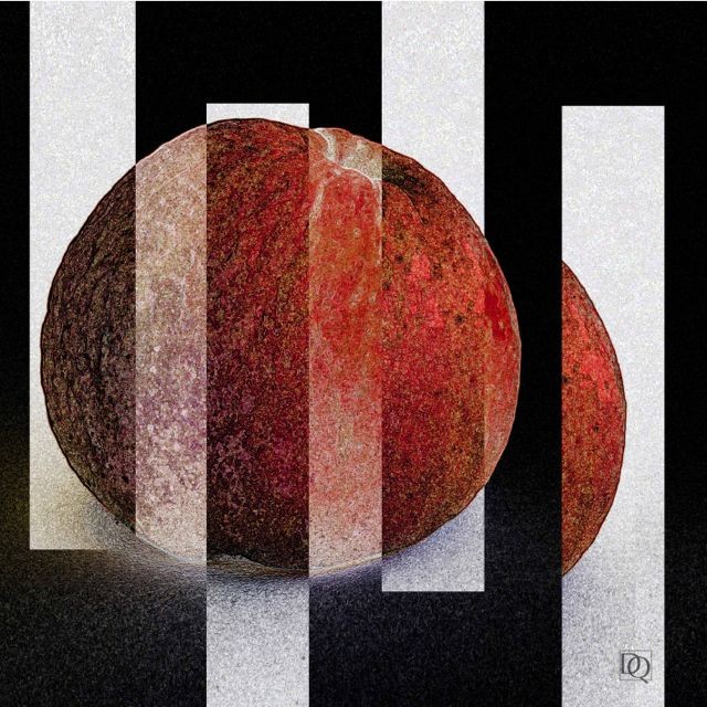 Dieter Quant, DQV17 (Apfel, geometrische Muster, Balken, senkrecht, Teilung, Fotokunst, künstlich, modern, Wohnzimmer, Treppenhaus, Büro, Wunschgröße, schwarz/weiß/rot)