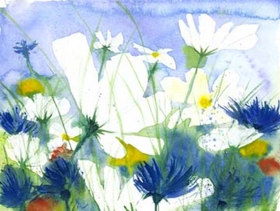 Dieter Hecht, Weisse Cosmea und Kornblumen (Kornblumen, Schmuckkörbchen, Blumen, Blüten, Sommerblumen, Perspektive, Malerei, Aquarell, Floral, Treppenhaus, Wohnzimmer, Esszimmer, blau/weiß)