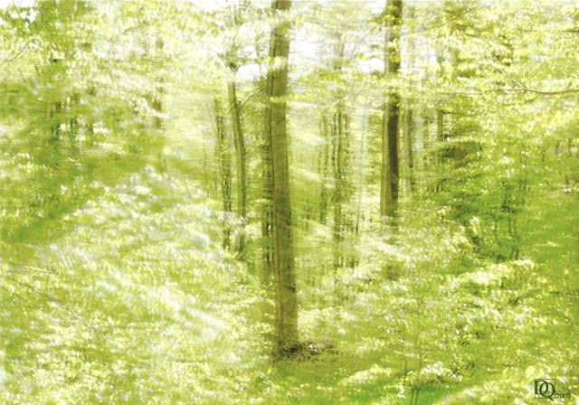Dieter Quant, DQV01 (Wald, Natur, Bäume, Fotokunst, verzerrt, unscharf, modern, Wohnzimmer, Treppenhaus, Büro, Wunschgröße, grün)